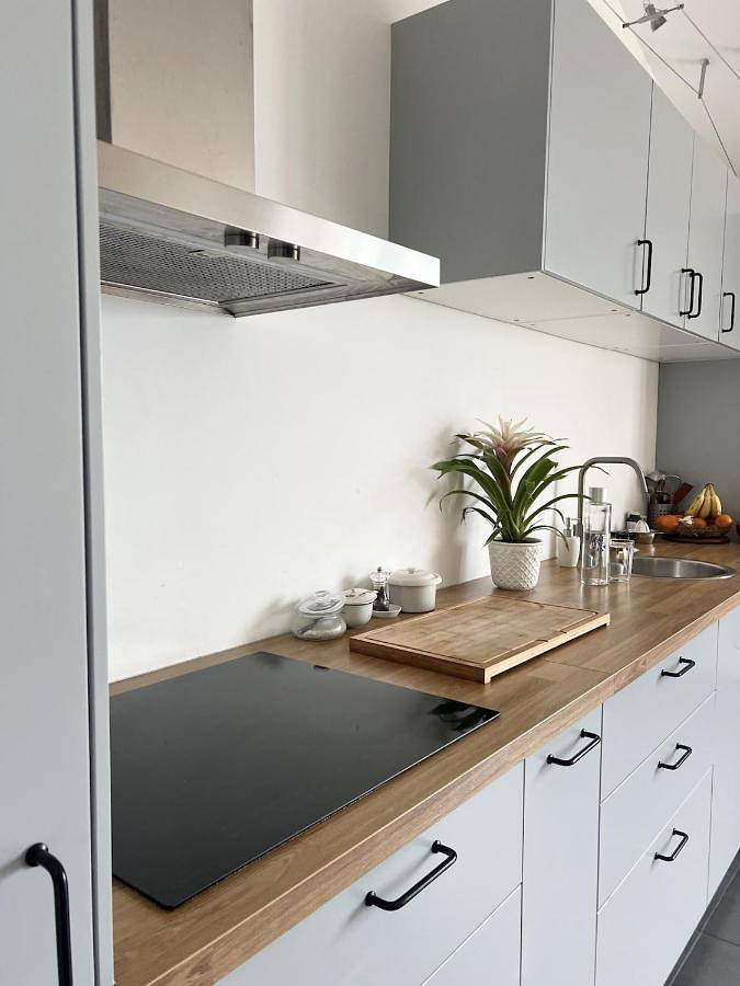 Location de vacances pour 4 personnes, avec vue et jardin, animaux acceptés à Massugas - 3