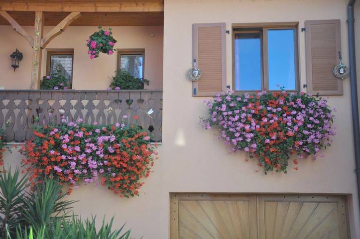 Gîte pour 7 personnes, avec terrasse et vue à Vœgtlinshoffen - 4
