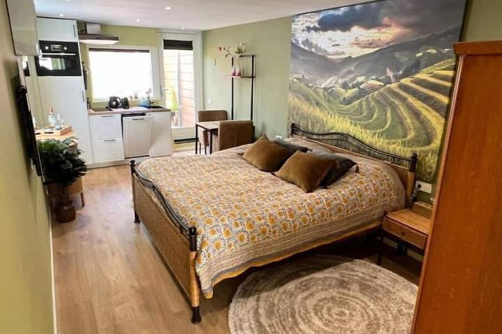 Entire apartment, The Tulip Quarter in Apeldoorn, Veluwe