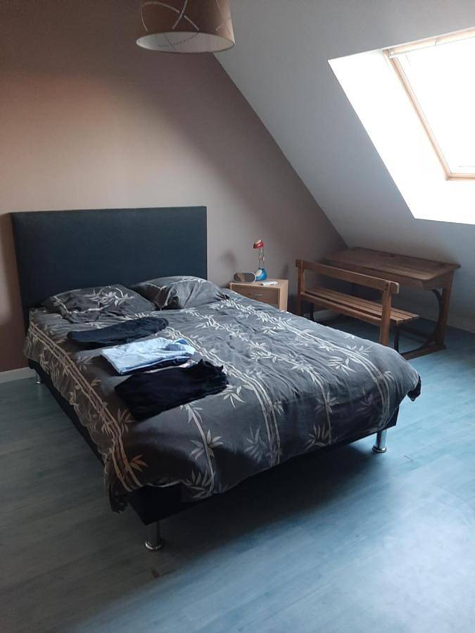 Gîte pour 10 personnes, avec jardin à Saint-Gervais-en-Belin - 4