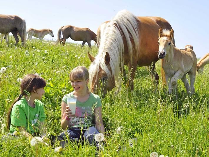 Bauernhof für 4 Personen, mit Garten, mit Haustier in Ostthüringen - 2