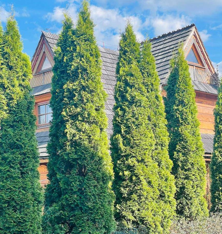 Villa Pandora - Zakopane Centrum in Zakopane, Karpaty (Polska)