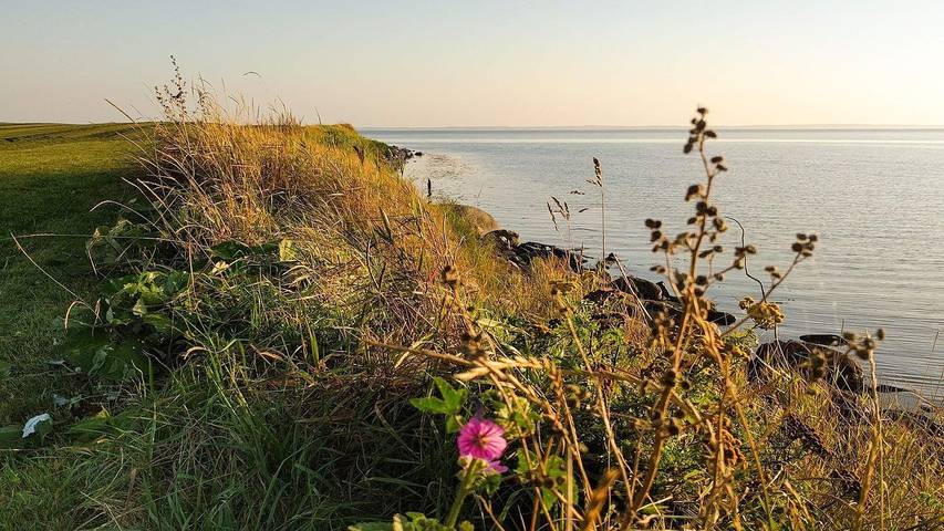 Ferienhaus für 5 Personen, mit Garten in Kegnæs - 4