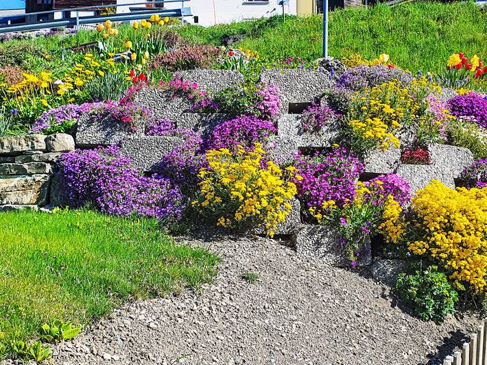 Ganze Wohnung, Chessibach 2-Zi-Whg in Schwendi b. Grindelwald, Grindelwald