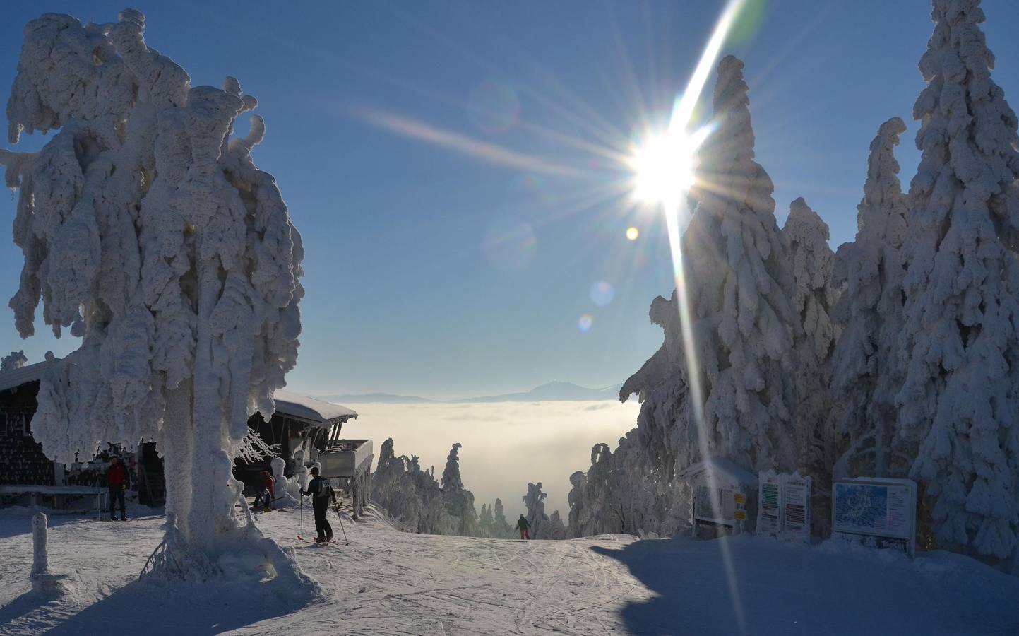 Ferienwohnung Hohenbogen - Schöne, neue Ferienwohnung (60 qm) für 4 Personen in Neukirchen beim Heiligen Blut, Ostbayern