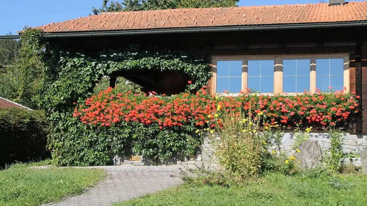 Ferienhaus für 4 Personen (80 m²) in Zwiesel in Zwiesel, Ostbayern