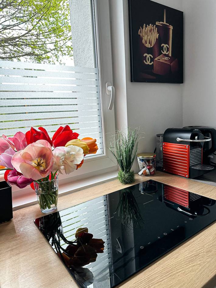 Appartement de vacances pour 3 personnes, avec jardin, animaux acceptés dans Bas-Rhin - 4