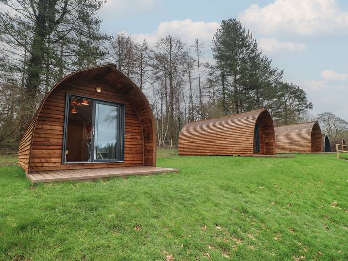Hut for 5 people, with yard in Sherwood Forest