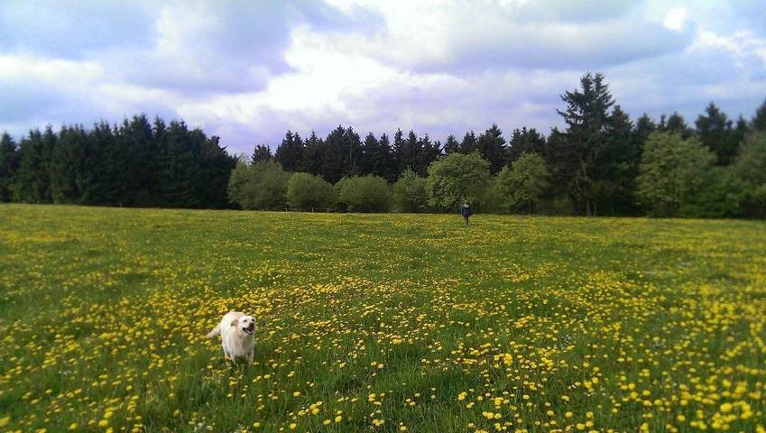 Ferienhaus für 2 Personen, mit Garten und Terrasse im Frankenwald - 3