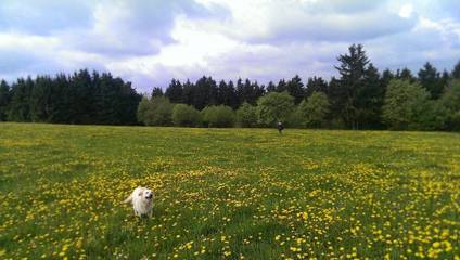Bauernhof für 2 Personen in Presseck, Bayern, Bild 2