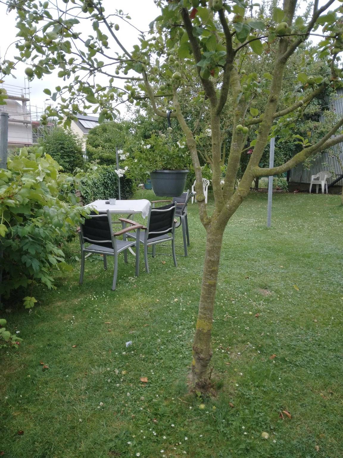 Ferien- oder Monteurwohnung Stadtnah! - Ferien- oder Monteurwohnung in Rehme, Bad Oeynhausen