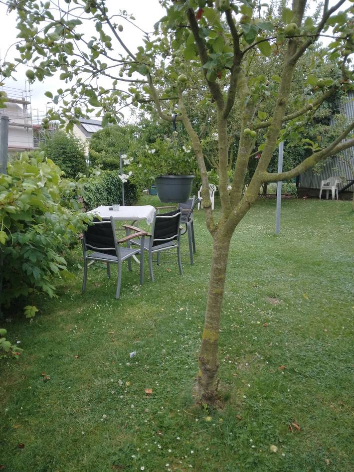 Ferienwohnung für 2 Personen in Bad Oeynhausen - 2