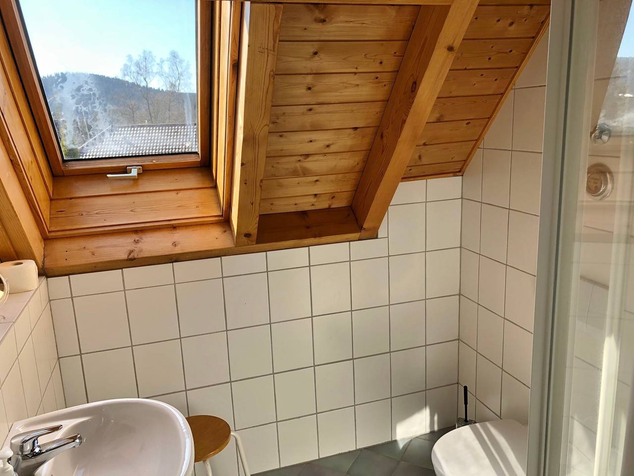 Apartamento entero, Apartamento 'Studio- con balcón 40m²' con vistas a la montaña, terraza compartida y Wi-Fi in Hinterzarten, Selva Negra (zona sur)