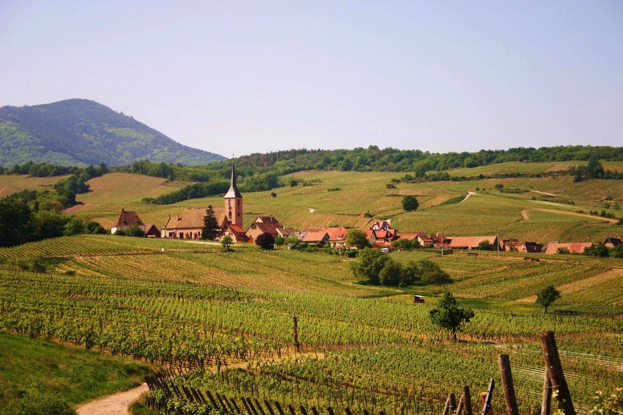 Hôtel Winzenberg bed and breakfast in Blienschwiller, Région de Sélestat-Erstein