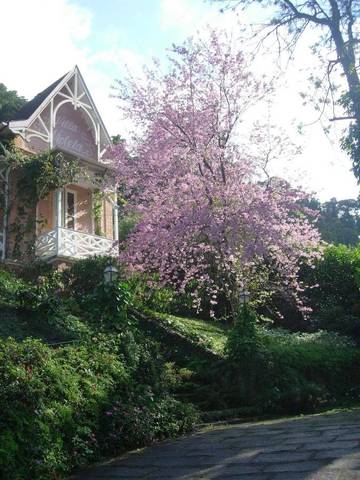 Maison d’hôte pour 2 personnes, avec piscine ainsi que vue et jardin dans Região Metropolitana do Rio de Janeiro