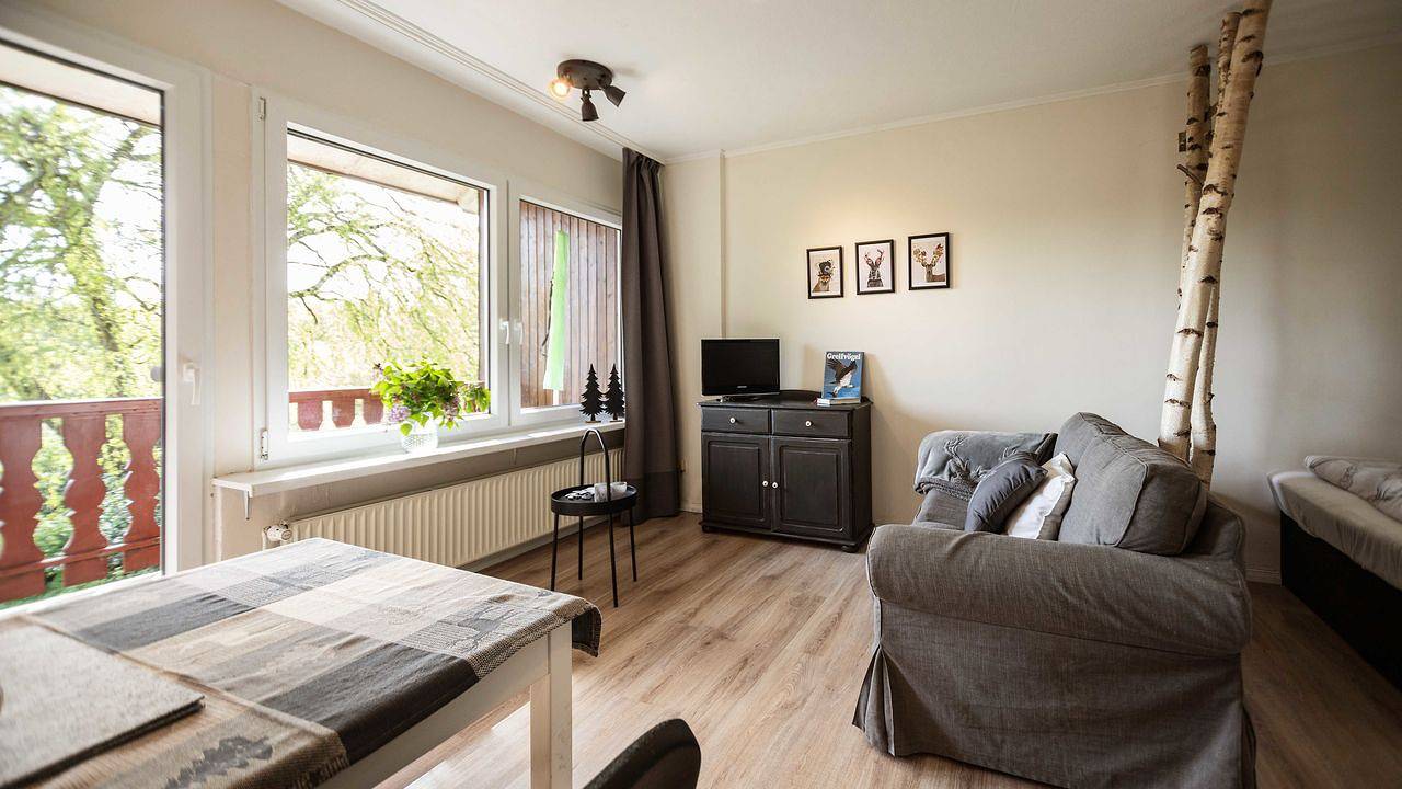 Ganze Ferienwohnung, Ferienwohnung für 2 Personen (25 m²) in Bad Malente in Krummsee, Malente