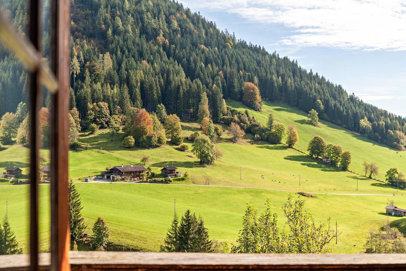 Ganze Wohnung, Ferienwohnung 'Obergeschoss' mit Bergblick und Balkon in Wildschönau, Kaisergebirge