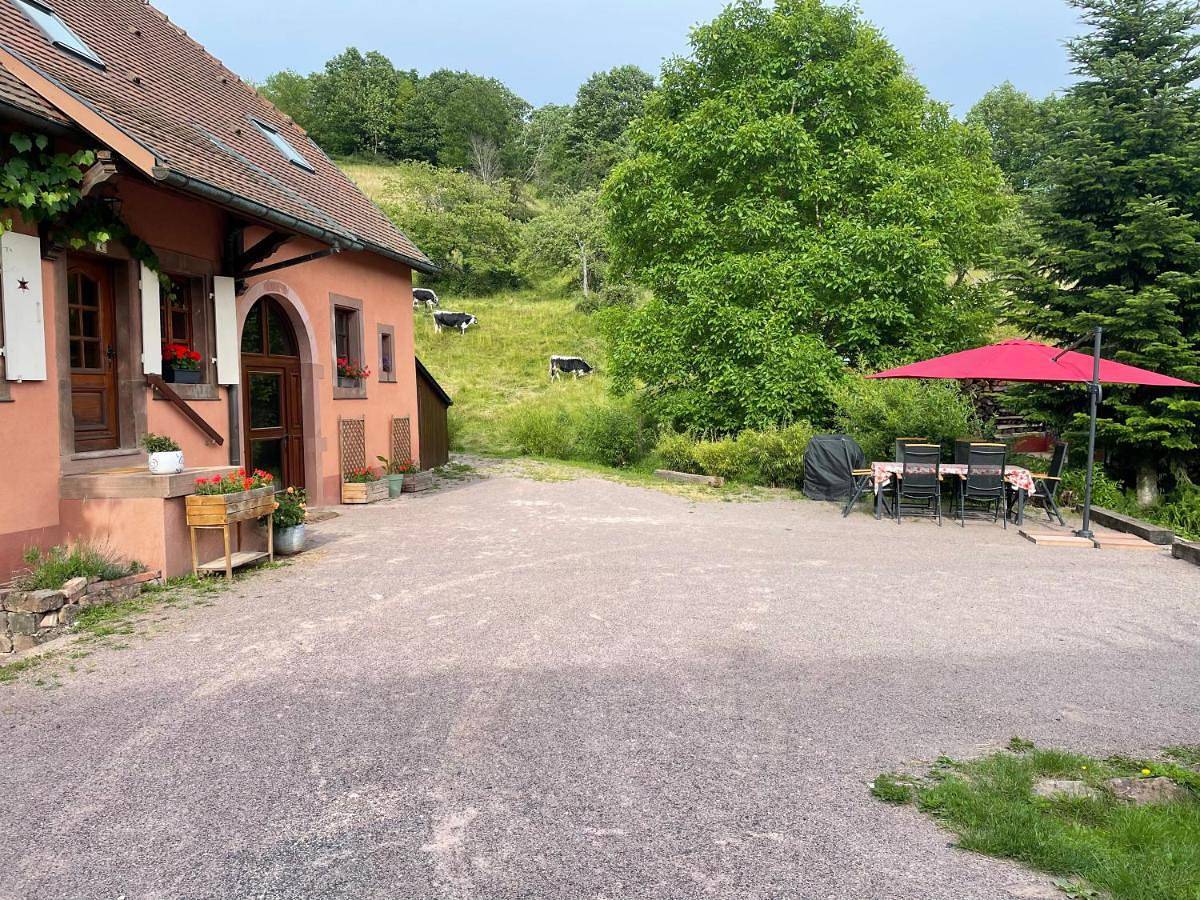 Appartement entier, La Fermette vosgienne de la Goutte in Steige, Région de Sélestat-Erstein