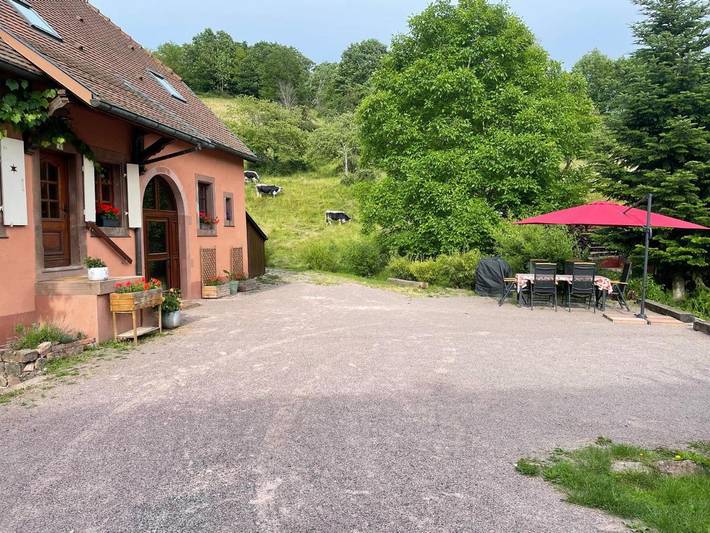 Gîte pour 6 personnes, avec jardin et vue à Steige - 4