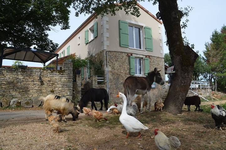 Mobilhome à la ferme avec piscine in Gabillou, Périgord Noir