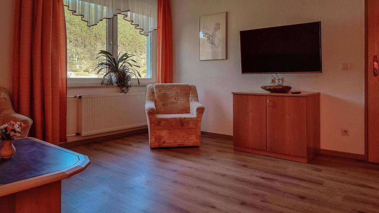 Ganze Wohnung, Ferienappartements Elbaussicht - Krippen in Krippen, Bad Schandau