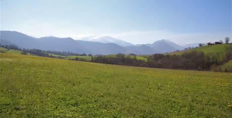 Gîte pour 9 Personnes dans Asson, Région de Pau, Photo 4