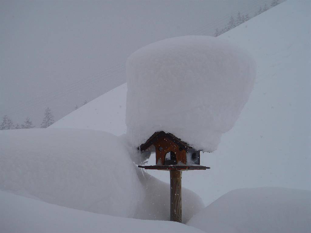 Haus Alpenblick in Schröcken, Bregenzerwald