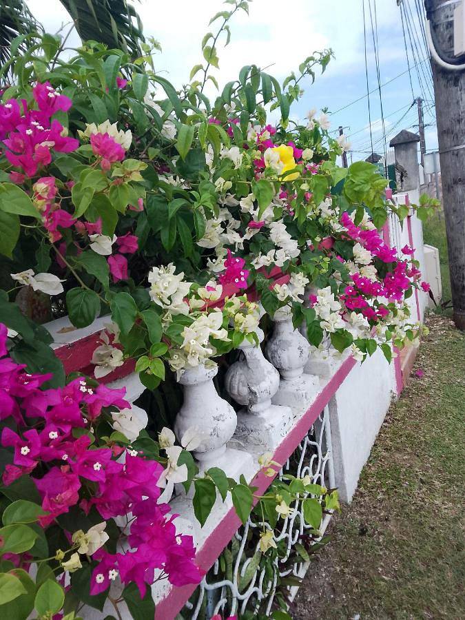 Maison d’hôte pour 2 personnes, avec terrasse ainsi que jardin et vue à Le Gosier - 2