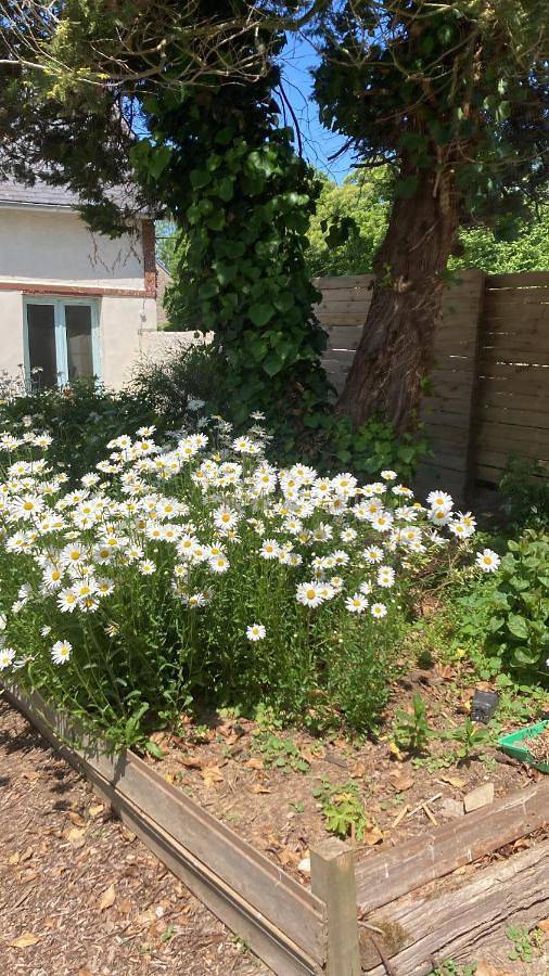 Location de vacances pour 2 personnes, avec terrasse à Brécey - 2