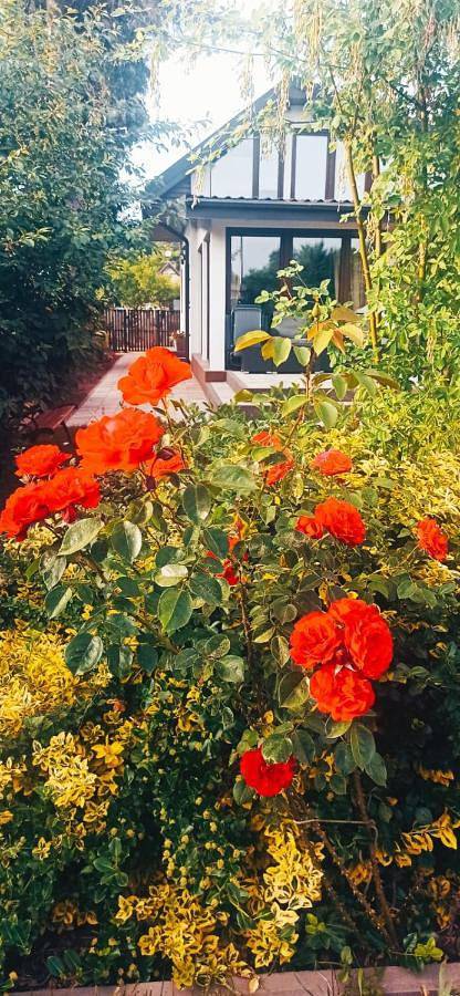 Villa für 10 Personen, mit Terrasse und Ausblick, mit Haustier in Danzig - 4