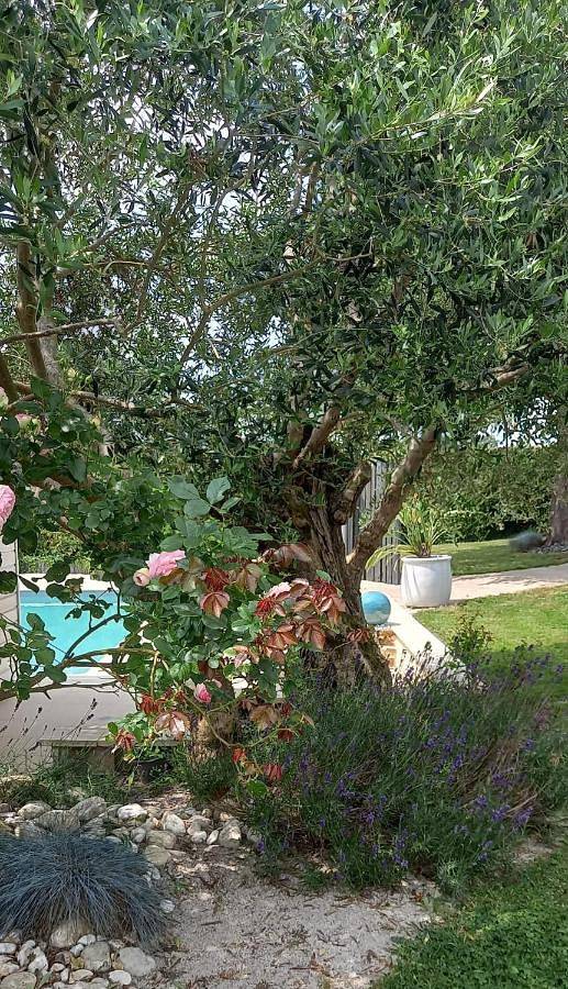 Gîte pour 2 personnes, avec Terrasse ainsi que Jardin et Piscine à Grez-Neuville - 4