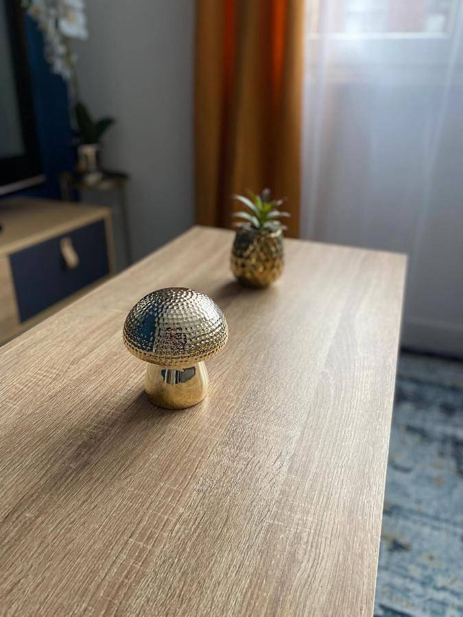 Appartement entier, One-Bedroom Apartment in Dunkerque, Côte des dunes de Flandres