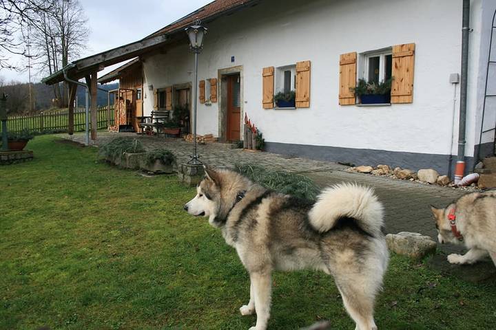 Ferienhaus für 7 Personen, mit Garten und Balkon, kinderfreundlich im Bayerischer Wald - 3