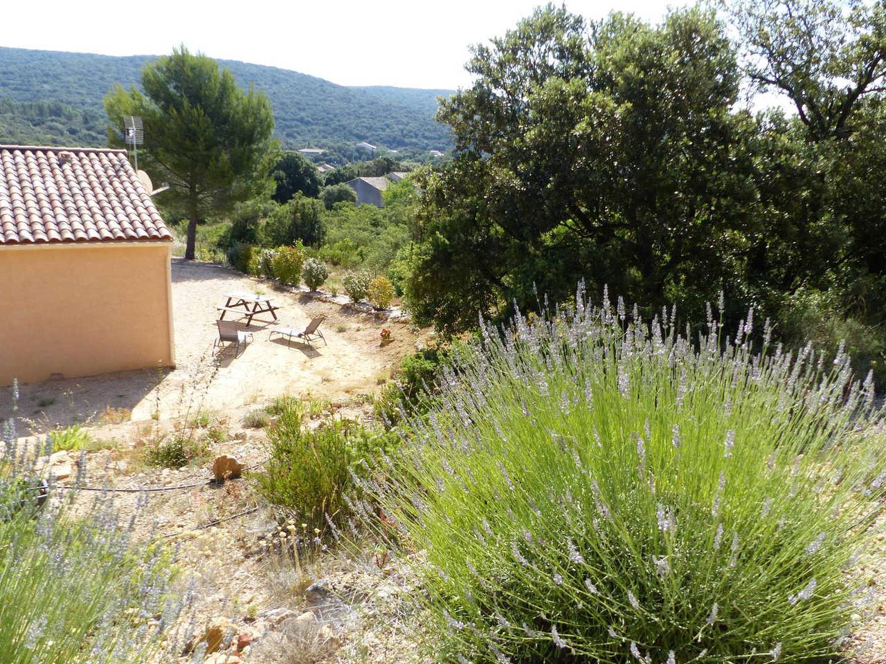 Les Lavandins in Puéchabon, Région de Lodève
