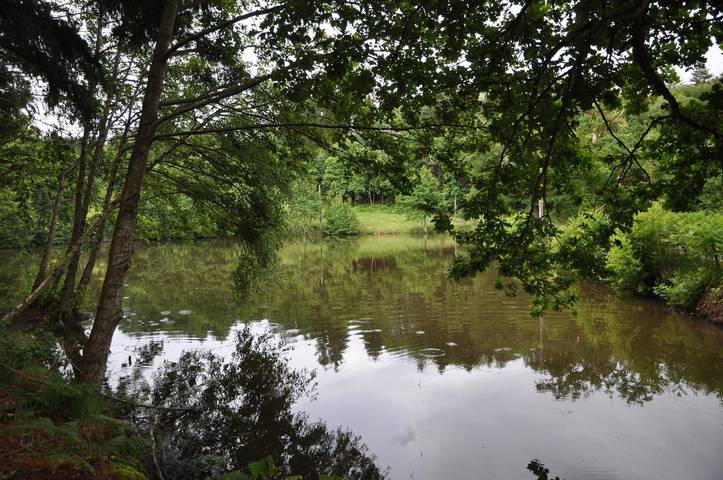 Gîte pour 4 personnes, avec jardin et terrasse à Saint-Léger-sous-Beuvray - 3