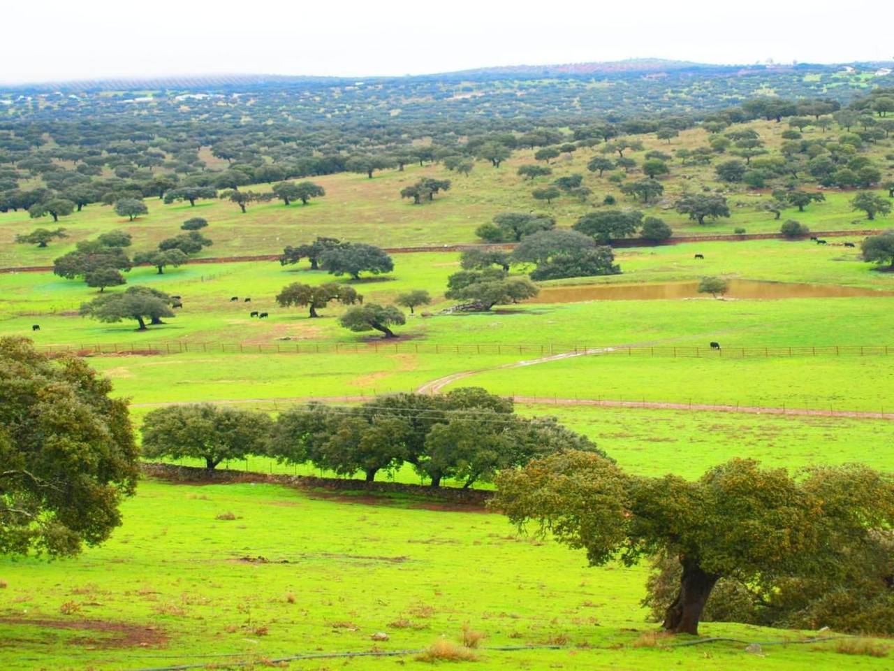 Ideales Refugium in Extremadura Komfort und Natur in Casas del Monte, Provincia de Cáceres