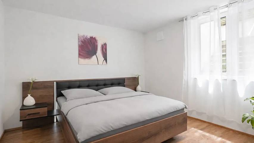 Ganze Wohnung, Appartement für 3 Personen (50 m²) in Friedrichshafen in Friedrichshafen, Region Bodensee-Oberschwaben