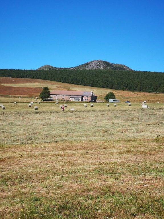 Gîte pour 6 personnes, avec jardin et terrasse en Haute-Loire - 2