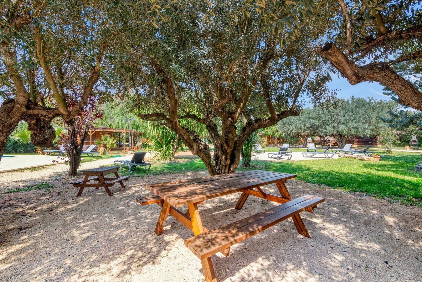Apartamento entero, Null 'Entre Viejos Olivos 6' con vistas a la montaña, piscina compartida y aire acondicionado in Benicolet, Provincia de Valencia