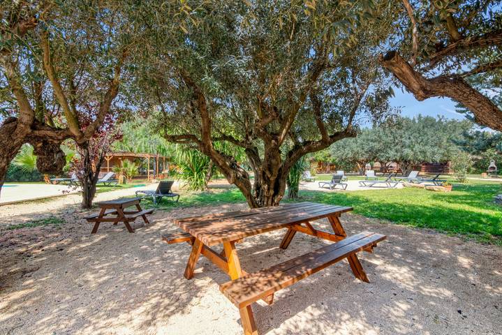 Ganze Wohnung, Null 'Entre Viejos Olivos 9' mit Bergblick, Gemeinschaftspool und Klimaanlage in Benicolet, Valencia Provinz