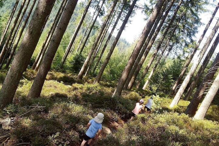 Ferienwohnung für 4 Personen - 1