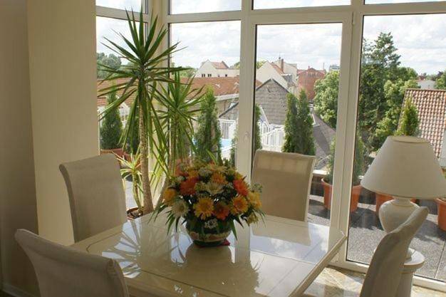 Hotel für 10 Personen, mit Terrasse und Sauna in Köpenick Berlin - 4