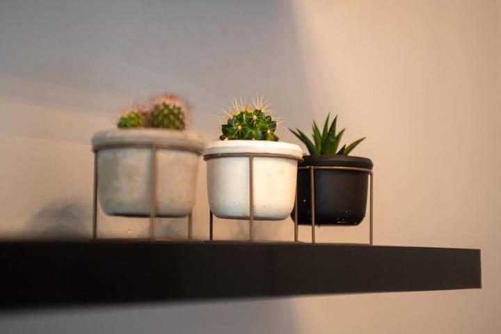 Location de vacances pour 10 personnes, avec jardin, animaux acceptés dans Vire Normandie - 4