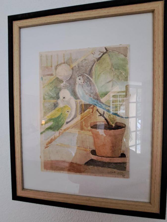 Chambre d’hôte pour 2 personnes, avec vue ainsi que piscine et jardin à Hyeres - 4