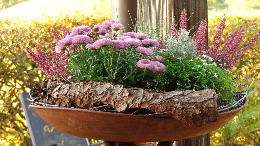 Ferienwohnung für 3 Personen in Baiersbronn - 4