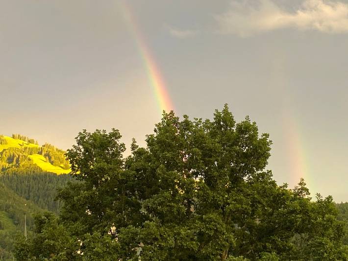 Ganze Ferienwohnung, Ferienwohnung Schönblick in Schönau im Schwarzwald, Südschwarzwald