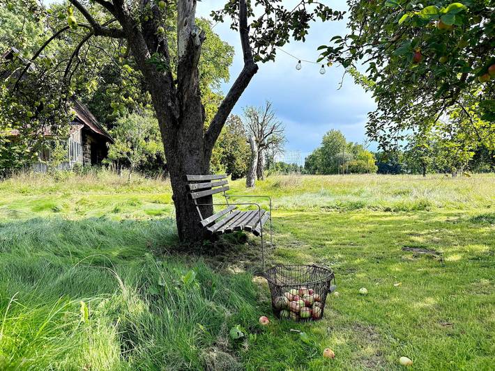 Ferienwohnung für 4 Personen, mit Garten und Terrasse in Burg (Spreewald) - 4