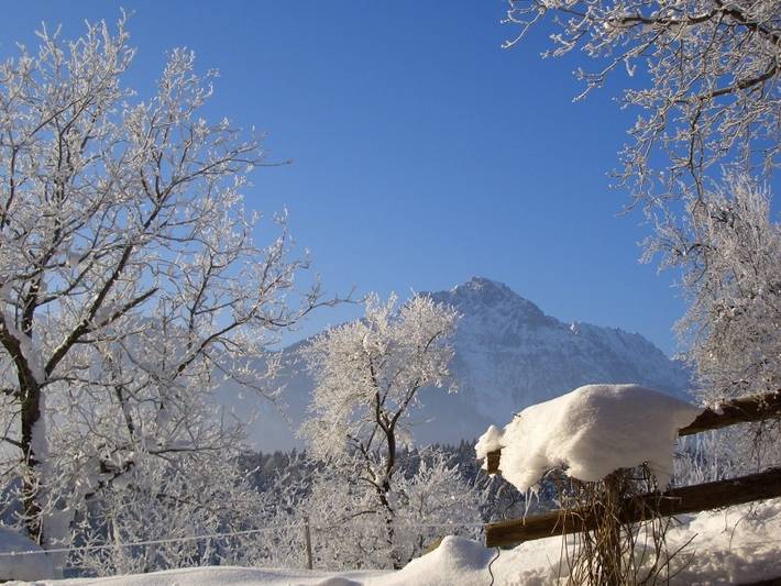 Ganze Ferienwohnung, Huberbauernhof Ferienwohnungen - Ferienzimmer Ramsau 20 qm 2 Personen, Wohnschlafraum, Terrasse in Piding, Bayerische Alpen