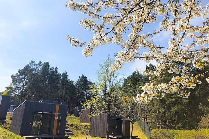 Blockhütte für 4 Personen, mit Terrasse in Senftenberg - 2