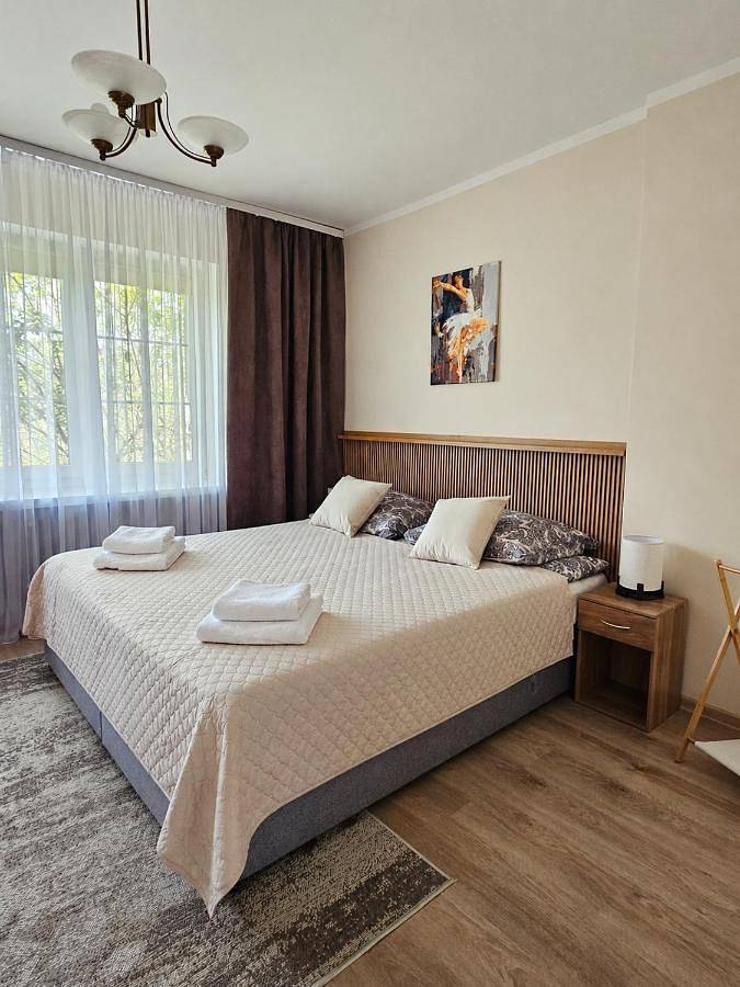 Ferienwohnung für 5 Personen, mit Terrasse und Garten sowie Seeblick und Ausblick in Allenstein - 3